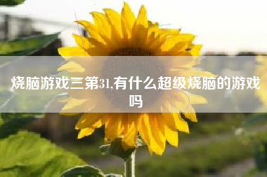 烧脑游戏三第31,有什么超级烧脑的游戏吗