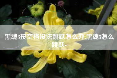 黑魂3按空格没法跳跃怎么办,黑魂3怎么跳跃-