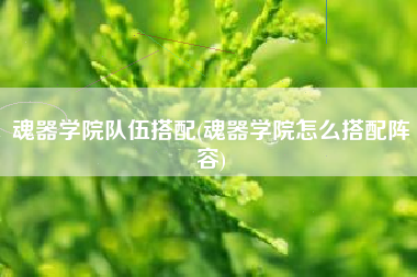 魂器学院队伍搭配(魂器学院怎么搭配阵容)