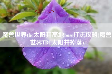 魔兽世界tbc太阳井高地boss打法攻略(魔兽世界TBC太阳井掉落)