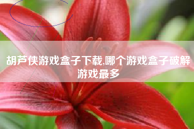 胡芦侠游戏盒子下载,哪个游戏盒子破解游戏最多