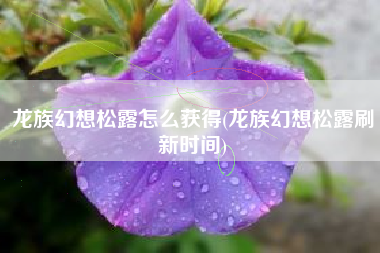 龙族幻想松露怎么获得(龙族幻想松露刷新时间)