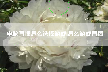 电脑直播怎么选择游戏,怎么游戏直播