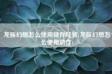 龙族幻想怎么使用储存经验(龙族幻想怎么使用动作)