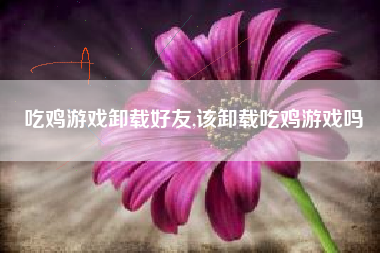 吃鸡游戏卸载好友,该卸载吃鸡游戏吗