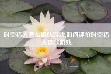 时空猎人怎么组队游戏,如何评价时空猎人这款游戏