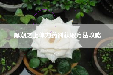 黑潮之上体力药剂获取方法攻略