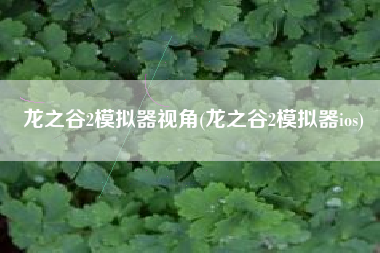 龙之谷2模拟器视角(龙之谷2模拟器ios)