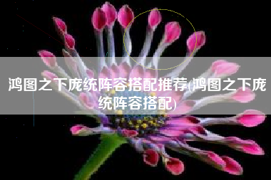 鸿图之下庞统阵容搭配推荐(鸿图之下庞统阵容搭配)