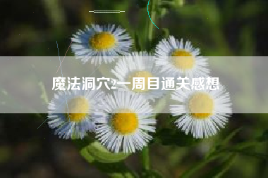 魔法洞穴2一周目通关感想