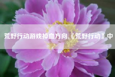 荒野行动游戏掉血方向,《荒野行动》中