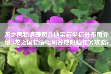 龙之国物语暖风谷地宝箱坐标分布图介绍 (龙之国物语暖风谷地隐藏任务攻略)