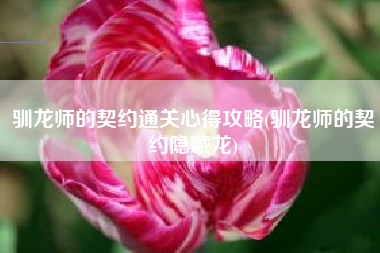 驯龙师的契约通关心得攻略(驯龙师的契约隐藏龙)