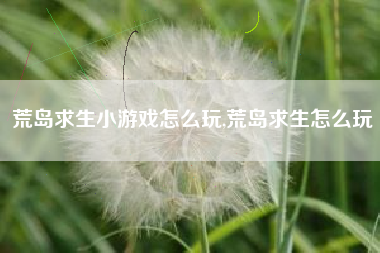 荒岛求生小游戏怎么玩,荒岛求生怎么玩