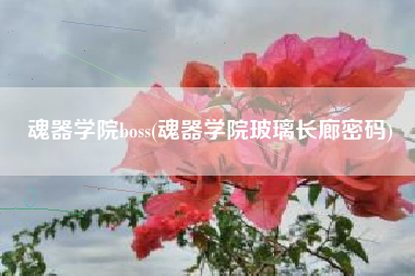 魂器学院boss(魂器学院玻璃长廊密码)