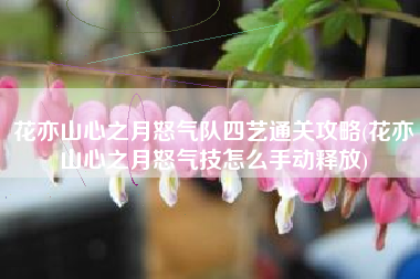 花亦山心之月怒气队四艺通关攻略(花亦山心之月怒气技怎么手动释放)