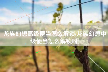 龙族幻想高级便当怎么解锁(龙族幻想中级便当怎么解锁呀)
