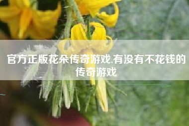 官方正版花朵传奇游戏,有没有不花钱的传奇游戏