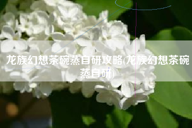 龙族幻想茶碗蒸自研攻略(龙族幻想茶碗蒸自研)