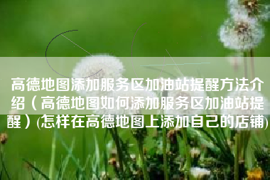 高德地图添加服务区加油站提醒方法介绍（高德地图如何添加服务区加油站提醒）(怎样在高德地图上添加自己的店铺)
