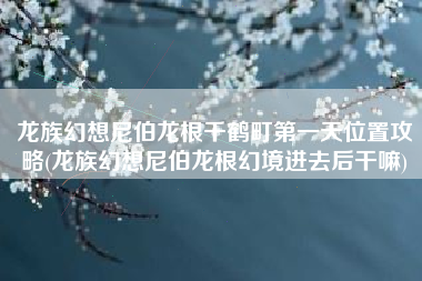 龙族幻想尼伯龙根千鹤町第一天位置攻略(龙族幻想尼伯龙根幻境进去后干嘛)