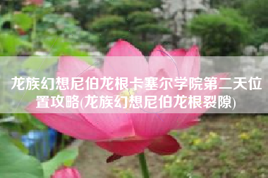 龙族幻想尼伯龙根卡塞尔学院第二天位置攻略(龙族幻想尼伯龙根裂隙)