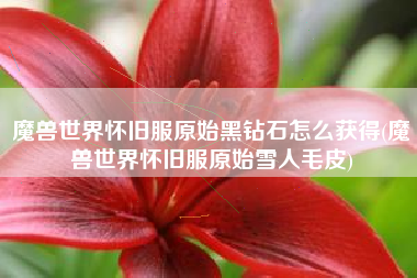 魔兽世界怀旧服原始黑钻石怎么获得(魔兽世界怀旧服原始雪人毛皮)