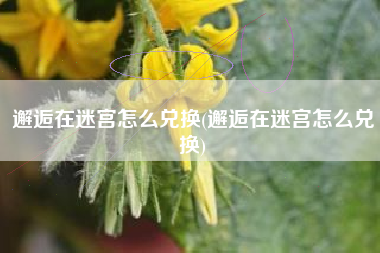 邂逅在迷宫怎么兑换(邂逅在迷宫怎么兑换)