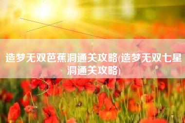 造梦无双芭蕉洞通关攻略(造梦无双七星洞通关攻略)