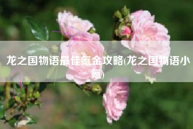 龙之国物语最佳氪金攻略(龙之国物语小氪)