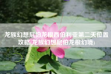 龙族幻想尼伯龙根西伯利亚第二天位置攻略(龙族幻想尼伯龙根幻境)
