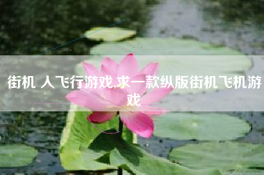 街机 人飞行游戏,求一款纵版街机飞机游戏