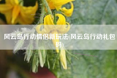 风云岛行动情侣新玩法(风云岛行动礼包码)