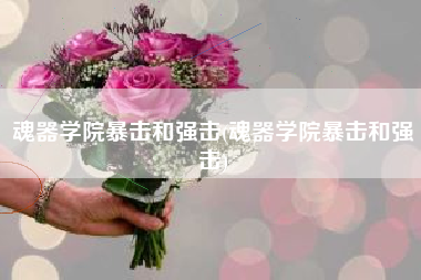 魂器学院暴击和强击(魂器学院暴击和强击)