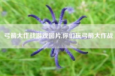 弓箭大作战游戏图片,你们玩弓箭大作战