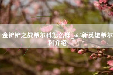 金铲铲之战希尔科怎么样_s6.5新英雄希尔科介绍