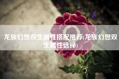 龙族幻想双生属性搭配推荐(龙族幻想双生属性选择)