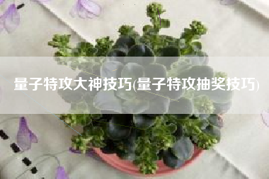 量子特攻大神技巧(量子特攻抽奖技巧)