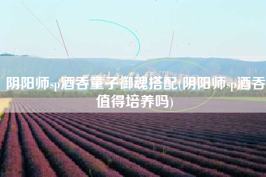阴阳师sp酒吞童子御魂搭配(阴阳师sp酒吞值得培养吗)