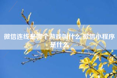 微信连线是哪个游戏叫什么,微信小程序是什么