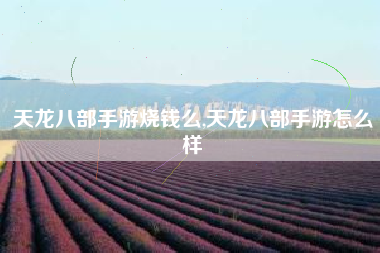 天龙八部手游烧钱么,天龙八部手游怎么样