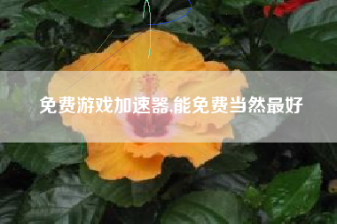 免费游戏加速器,能免费当然最好