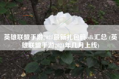 英雄联盟手游2021最新礼包码cdk汇总 (英雄联盟手游2021年几月上线)
