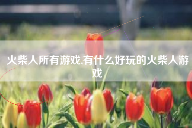 火柴人所有游戏,有什么好玩的火柴人游戏