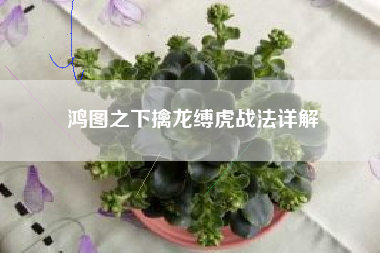 鸿图之下擒龙缚虎战法详解