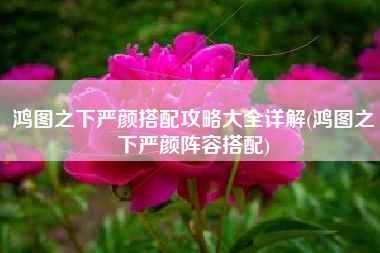 鸿图之下严颜搭配攻略大全详解(鸿图之下严颜阵容搭配)