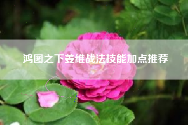 鸿图之下姜维战法技能加点推荐