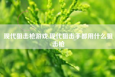 现代狙击枪游戏,现代狙击手都用什么狙击枪