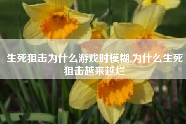 生死狙击为什么游戏时模糊,为什么生死狙击越来越烂