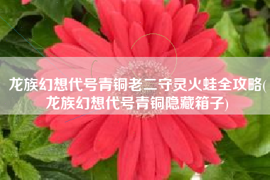 龙族幻想代号青铜老二守灵火蛙全攻略(龙族幻想代号青铜隐藏箱子)